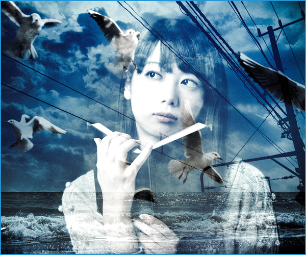 資格の受験日程の目安