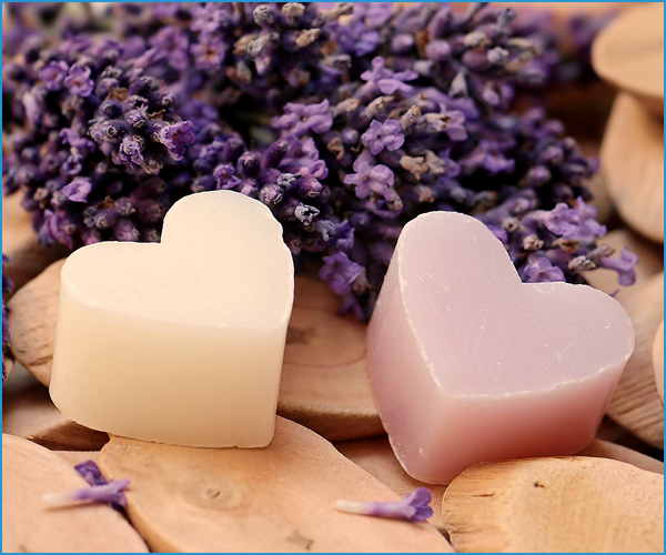 資格を生かして働くには？